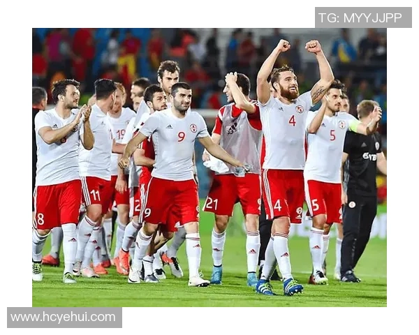 葡萄牙与乌克兰在线直播赛事分析及精彩回顾